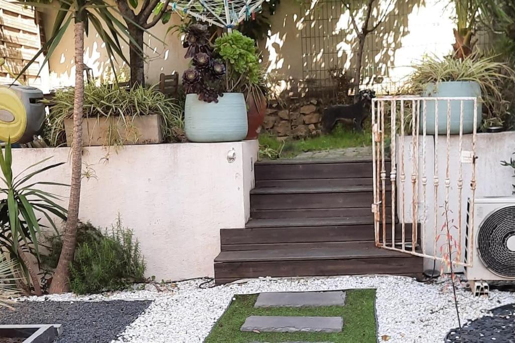 Studio Croix Des Gardes Palais Plages Cannes Zewnętrze zdjęcie
