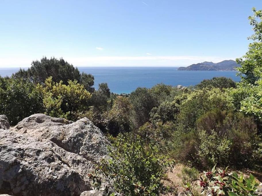Studio Croix Des Gardes Palais Plages Cannes Zewnętrze zdjęcie