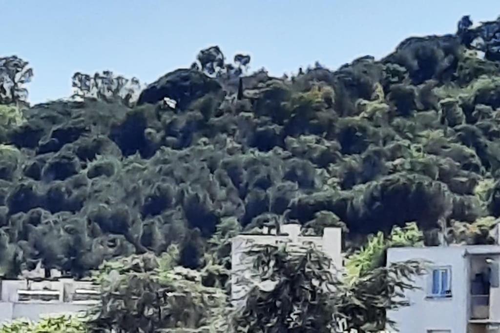 Studio Croix Des Gardes Palais Plages Cannes Zewnętrze zdjęcie
