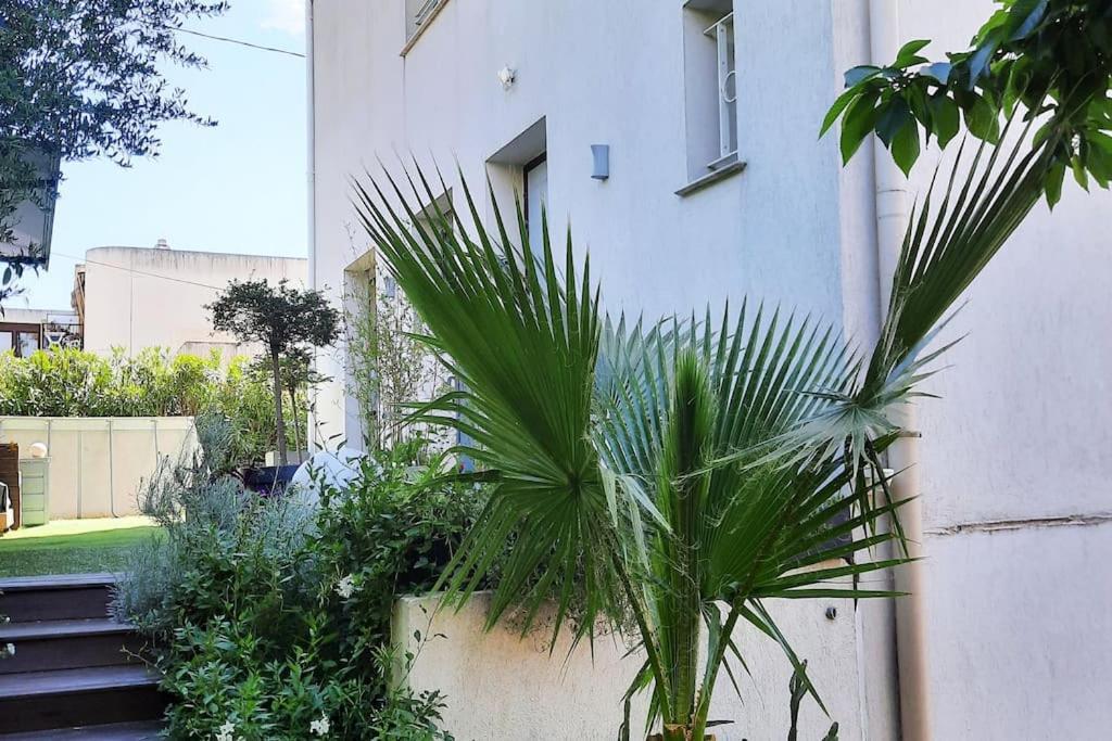Studio Croix Des Gardes Palais Plages Cannes Zewnętrze zdjęcie
